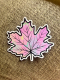 Fall Leaf 3