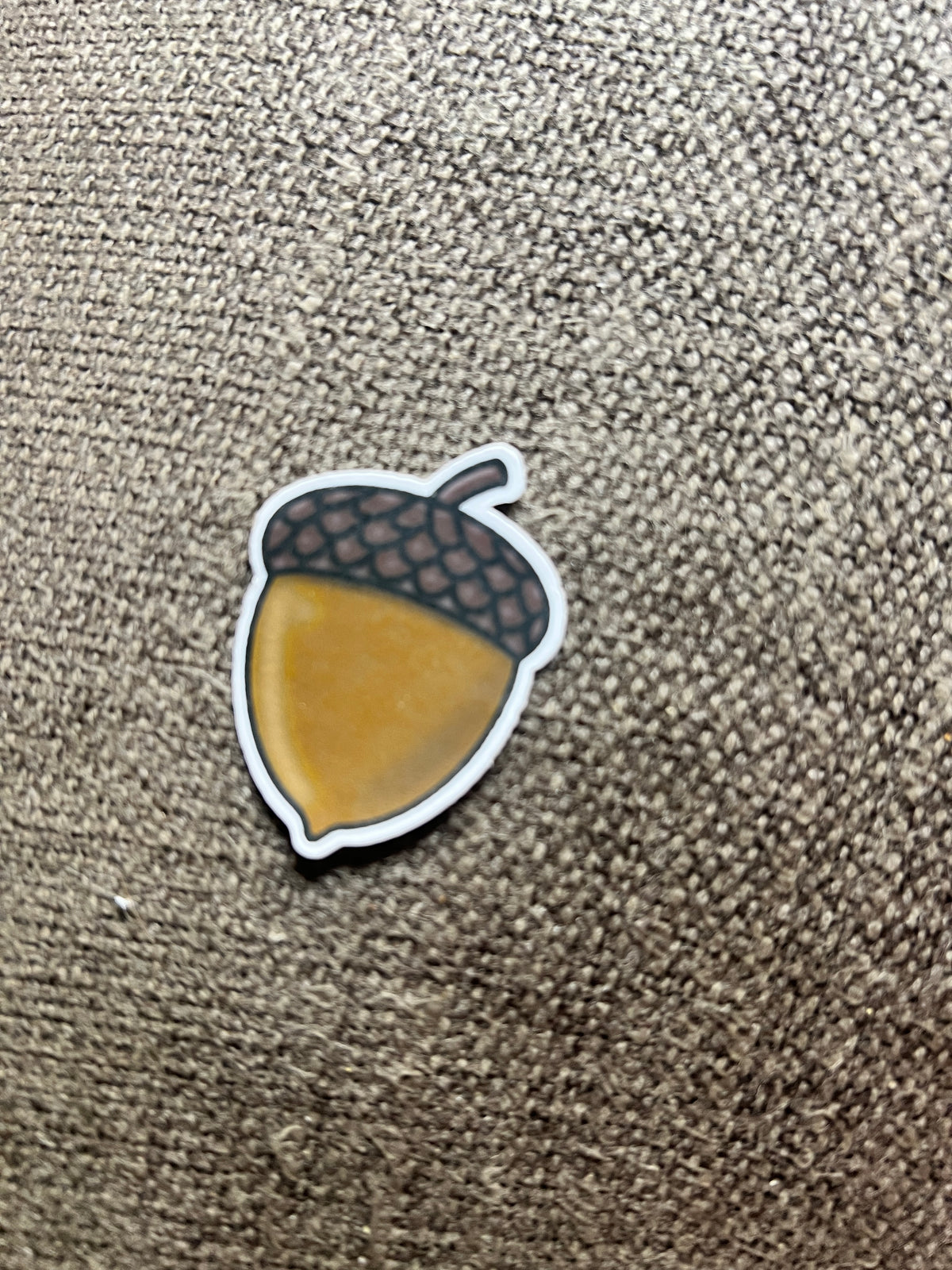 Acorn