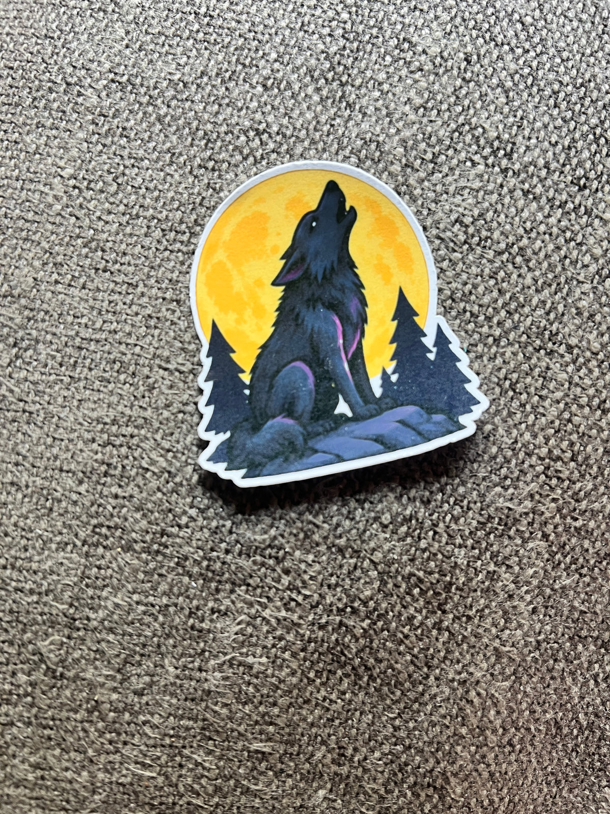 Howling at the Moon